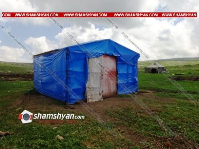 Ավազակային հարձակման է ենթարկվել Մանվել Գրիգորյանին պատկանող մանր եղջերավոր անասուններ պահող հովիվը. կան բերման ենթարկվածներ. shamshyan.com