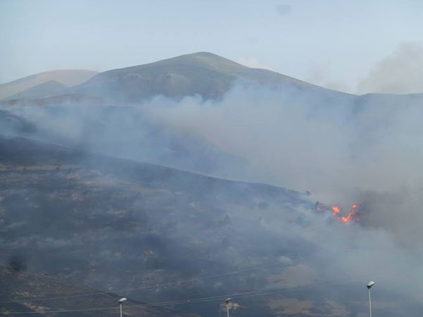 «Փաստորեն, Լիդիանի աշխատակիցները տեղյակ չեն կամ գիտակցաբար ապատեղեկատվություն են տարածում»