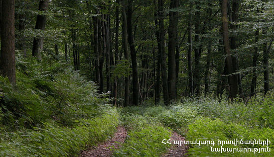 Երեւանի բնակիչը գնացել է մոտակա անտառ և չի վերադարձել. հայտնաբերվել է նրա դին