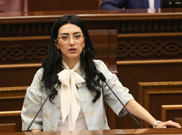 «Նոր պատվիրակությունը ժառանգություն չի ստանա հակահայկական ձեւակերպումներով բանաձեւեր»