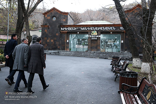 Կենդանաբանական այգու տնօրենին հեռացնելու պահանջով ցույցերը վերսկսվել են