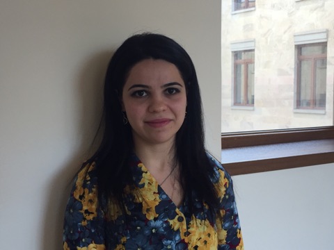 «Մեր հասարակությունում հրահրում են քննարկումներ տարածքների հետ կապված, Բաքվում միակ քննարկումը ինքնավարություն տալն է»