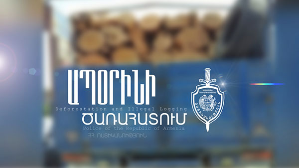 Ալավերդիում մարտի լույս 6-ի գիշերը 10 խմ ապօրինի փայտանյութով բեռնատար են հայտնաբերել