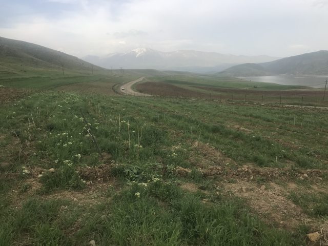 Գյուղացիները մտնում են կոոպերատիվների մեջ, որ կենցաղն ու համայնքը զարգացնեն, բայց հարկային բեռ են շալակում