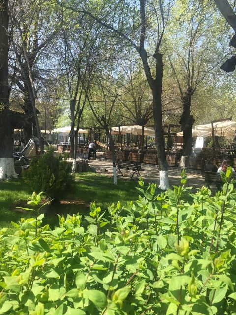 «Քաղաքացու որոշում» կուսակցության հիմնադիր անդամ Արթուր Ավագյանը տարածքը վարձակալել է Արծրուն Խաչատրյանի որդուց. «Հրապարակ»