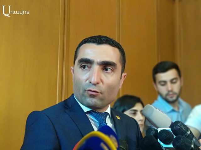 «Ծառուկյանի ողջ թիկնազորն ընտրատեղամասերում էր, բակերում խորովածաքաբաբային փարթիներ էին անում». Ռ. Պետրոսյան