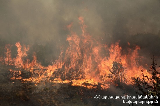 Ստեփանավան քաղաքում այրվել է մոտ մեկ տոննա անասնակեր