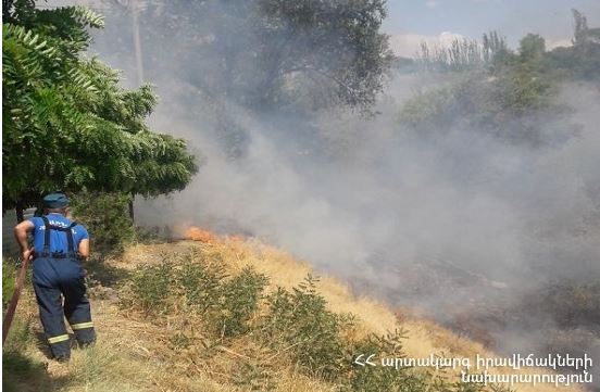 Լեհվազ գյուղի անտառի հրդեհը բռնկվել է խորովածի համար կրակ վառելիս անզգույշ վարվելու հետևանքով