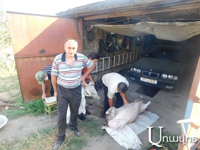 «Կարող է՝ թուրքերը շուն են վարակում, գցում». Սահմանամերձ Աչաջուր գյուղում կասկածում են՝ տնտեսական պատերազմ է հակառակորդը կիրառում