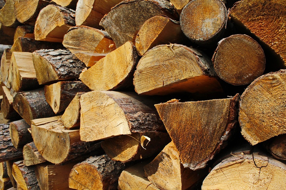 Ապօրինի անտառահատումներով Լոռու մարզում բնությանը պատճառված շուրջ 322 մլն դրամի վնասից վերականգնվել է 3 մլն ՀՀ դրամը
