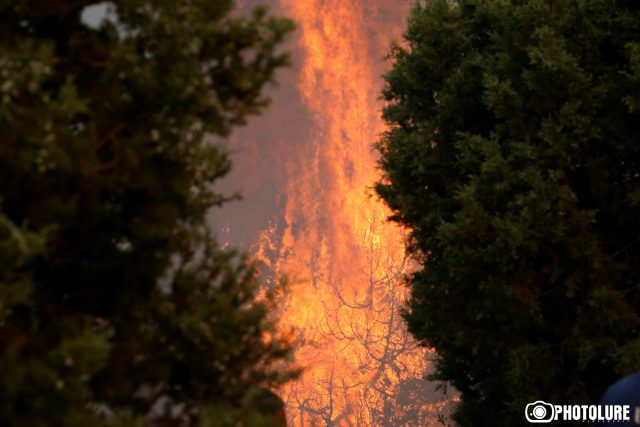 Ծիծեռնակաբերդի զբոսայգում այրվել է 100 ծառ եւ մոտ 2 հա բուսածածկույթ