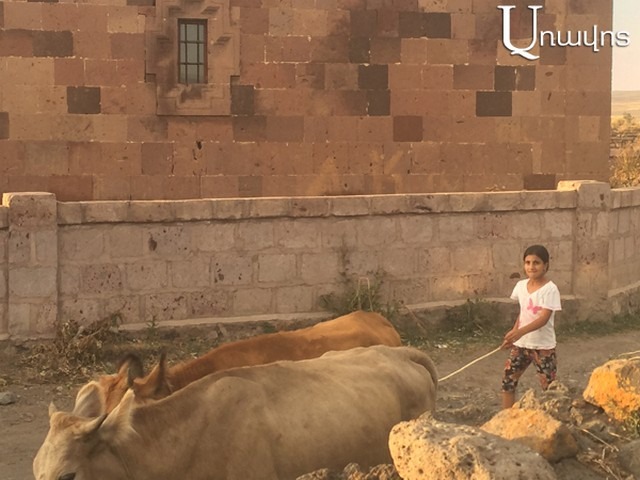 «Մեր ընտրած գյուղապետից մեր խնդիրների  լուծումն էինք պահանջում, հիմա՞ ումից պահանջենք»