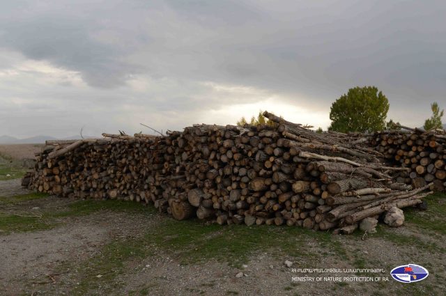 Հոկտեմբերի 1-ից կբարձրացվեն անտառապահների եւ անտառապետերի աշխատավարձերը