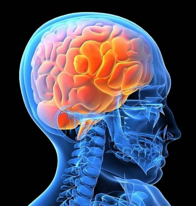 B խմբի վիտամինները բարելավում են գլխուղեղի աշխատանքը, կարգավորում հոգեկան խնդիրները