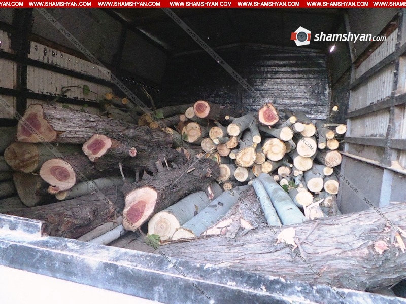 Երևանում «ծառերի սպանդ է իրականացվել». shamshyan.com
