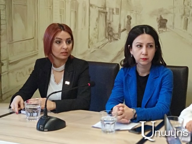 «Մարուքյանը ինձ անվանեց ադրբեջանասեր եւ թրքասեր, իսկ տիկին Սամսոնյանը հայտարարությունների ժամին նույնը կրկնեց». Մարիա Կարապետյան