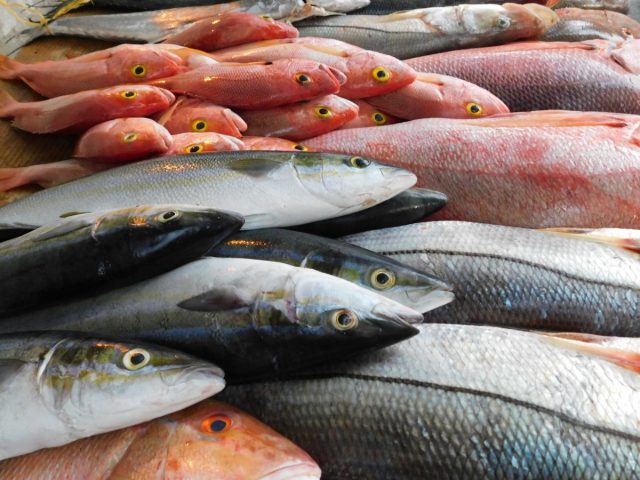 «Ռուսները լավ չեն տրամադրված՝ մեր ձուկը չեն ուզում վաճառել». ձկան գնանկում է եղել. «Չորրորդ իշխանություն»