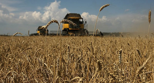 Թեեւ Հայաստանի տնտեսական ակտիվության ցուցանիշն աճում է, բայց գյուղատնտեսությունը անկում է ապրում. «Ժողովուրդ»