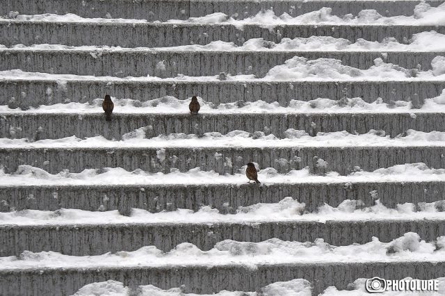 Սպիտակի ոլորաններում, Թալին քաղաքում, Արագածի տարածաշրջանում, Ջերմուկ քաղաքում տեղում է ձյուն