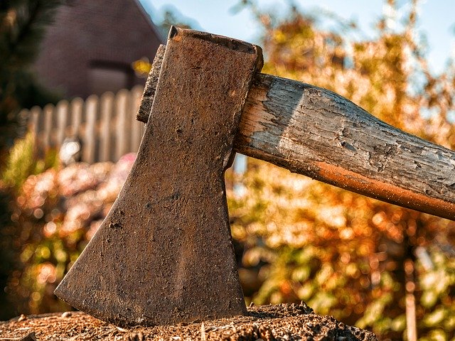 Անտառապահը կացնով կտրել է Գանձաքար գյուղի բնակչի ականջը. դիտողություն էր արել եկեղեցու բակում հայհոյող անտառապահին