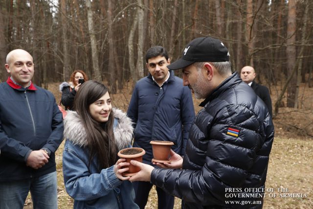 «Տնկե՞լ ենք կես մլն ծառ, բա խի՞ չէիք ասում 100 փաստերի մեջ գրենք». Փաշինյանը՝ Էրիկ Գրիգորյանին