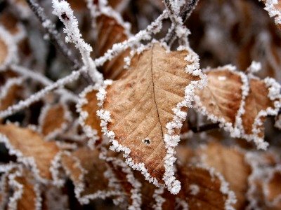 Կա ցրտահարության վտանգ. Գագիկ Սուրենյան