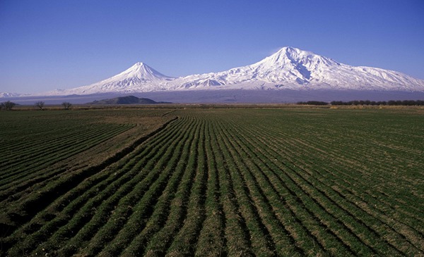 Հերոս հայը, որը հայ որբերին վերադարձրեց սիրիական անապատից