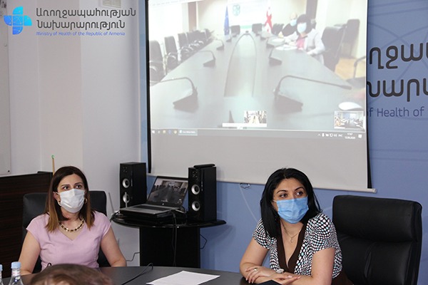 Հայ-վրացական առցանց հանդիպում՝ կորոնավիրուսի բուժման նպատակով կիրառվող մեթոդների շուրջ