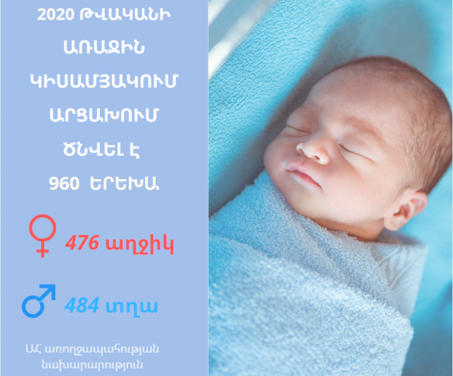 2020 թ․-ի առաջին կիսամյակի ընթացքում Արցախում ծնվել է 960 երեխա․ Արայիկ Հարությունյան