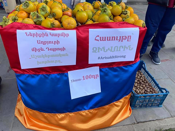 Տավուշի սահմանապահ գյուղի աշակերտները արքայանարինջ են վաճառում ու հասույթը փոխանցում Հայաստան համահայկական հիմնադրամին