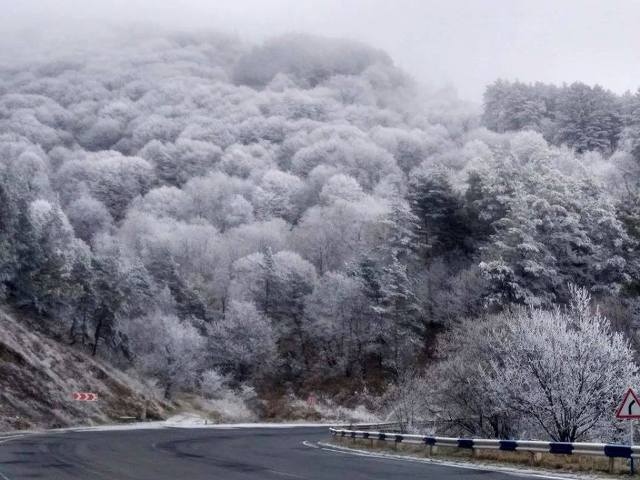 Լոռու մարզում և Շիրակի մարզի Աշոցք, Ամասիա գյուղերում ձյուն է տեղում