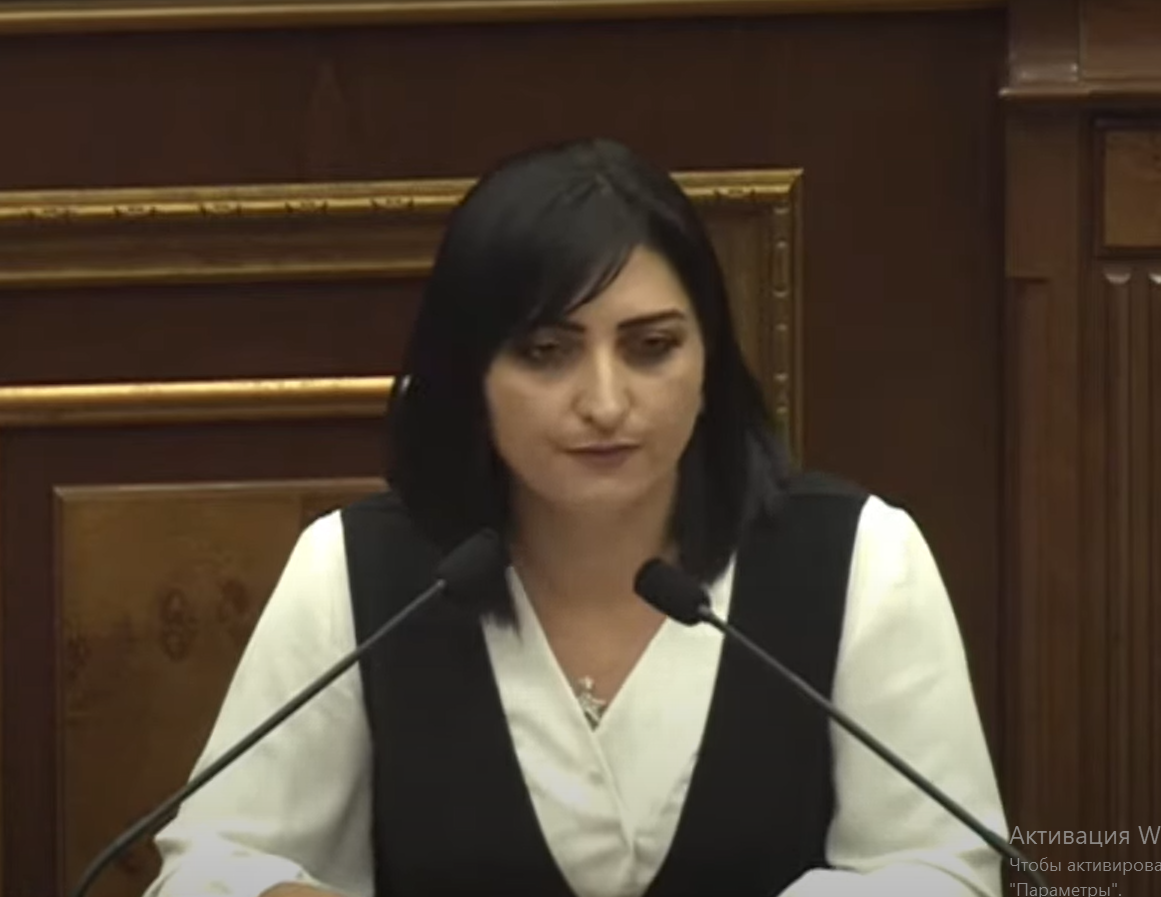 Թագուհի Թովմասյան․«Մենք հիմա ի՞նչ ենք ցույց տալիս քաղաքացուն, որ մենք իրար անընդհատ պիտի ծեծե՞նք, տղամարդիկ պիտի կանանց ներկայությամբ հայհոյե՞ն»