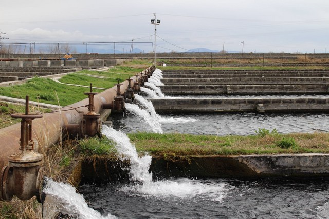 Վստահիր ծարավիդ, հավատա ոռոգմանը