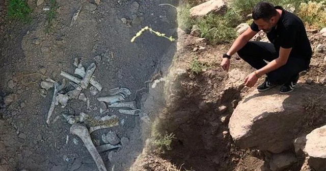 Անկարայում թալանել են հայկական հնամենի գերեզմանատունը