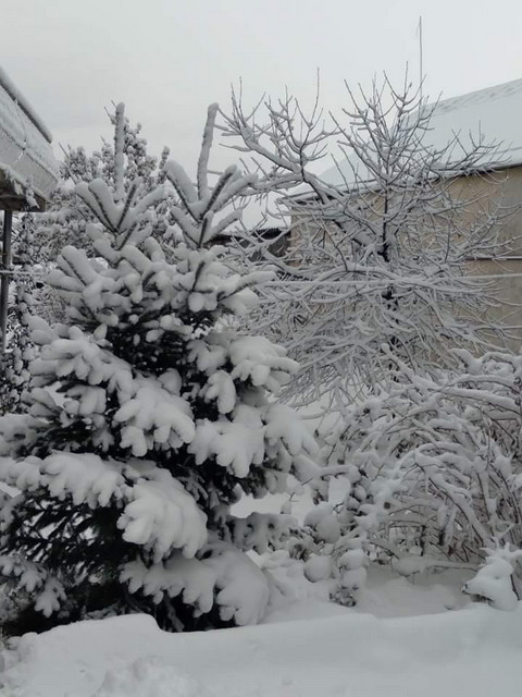 Հայաստանի մի շարք տարածաշրջաններում ձյուն է տեղում