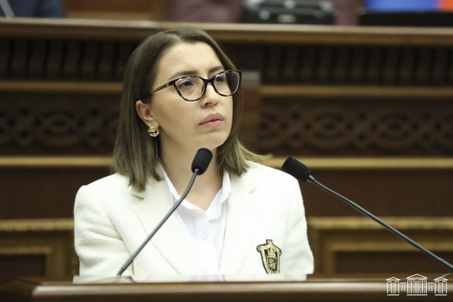 «Շնաբարո դուրսպրծուկներ», «վզից բռնելու ենք շպրտենք դուրս»․ Ղազինյանը ՄԻՊ թեկնածուին հիշեցրեց Փաշինյանի բառամթերքը