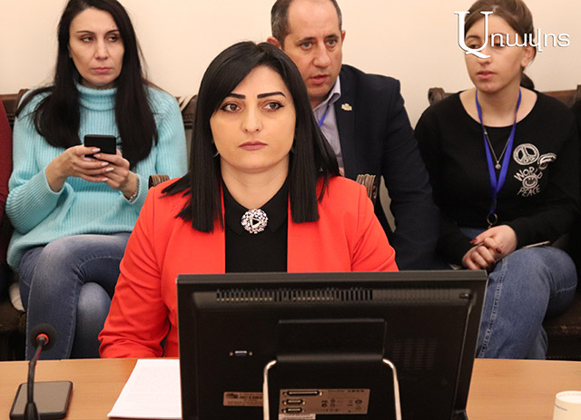 «Պատգամավոր կա, իր կնոջ տանն է ապրում, վարձավճարի փոխհատուցում է ստանում, բա ինչո՞ւ եք տալիս, պատգամավորին կարելի է, զինծառայողին պիտի դատե՞նք». Թագուհի Թովմասյան