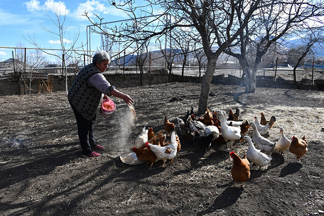 «Պարենային անվտանգությունը ոչ միայն սննդի առկայությունն է, այլև բոլորի համար առողջ սննդի հնարավորության ապահովումը»