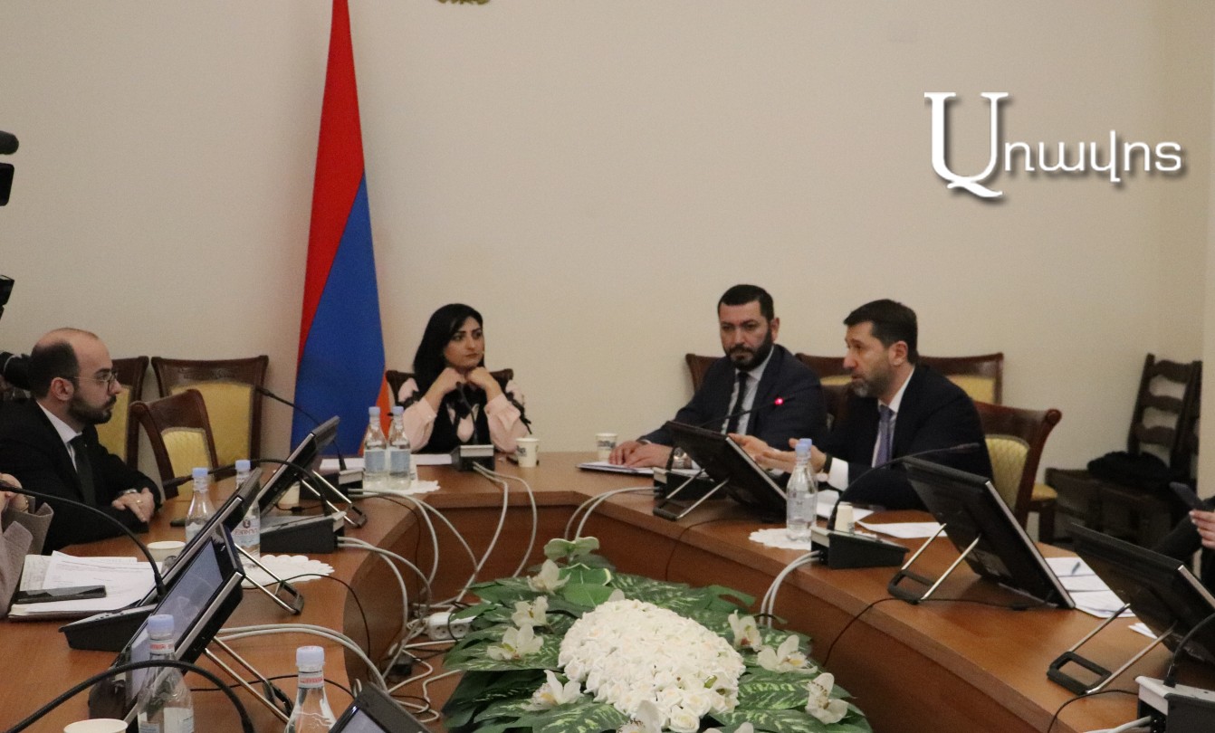 «Իրավունք չունենք գնալ-քննել, թե ոստիկանն իրեն ինչպես է պահել»․ նախարարը՝ կոտրված ձեռքով աղջկա մասին
