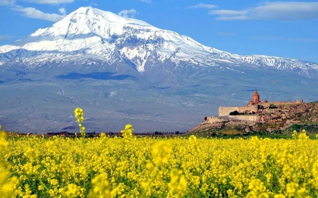 «Տարածքը անապատացվում է». Արարատյան դաշտի աղետ․ գնահատում և առաջարկություններ