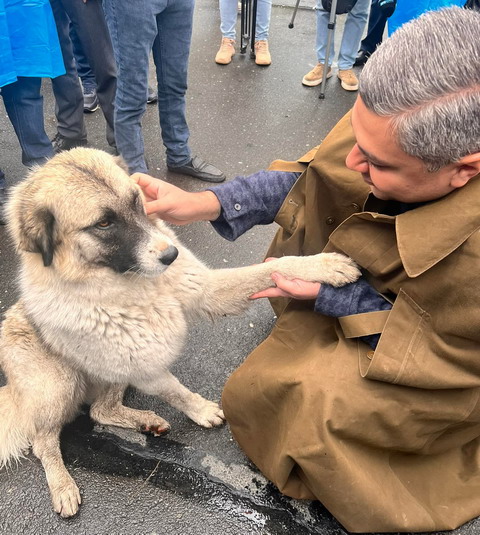 «Որ շուն եմ տեսնում, տեսախցիկ լինի, թե ոչ, անպայման սիրում եմ»․ Արթուր Վանեցյան