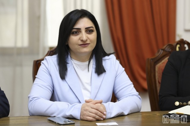 Թագուհի Թովմասյանը ոստիկանության վայրագությունների մասին հաղորդում կներկայացնի գլխավոր դատախազին եւ կտեղեկացնի միջազգային գործընկերներին
