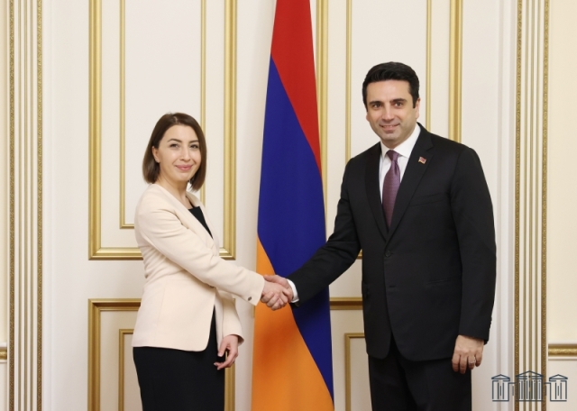 Կարևորելով ՄԻՊ աշխատակազմի գործունեությունը, Ալեն Սիմոնյանն ընդգծել է՝ ինստիտուցիոնալ առումով մեր երկրում ամենակայացածներից է այն