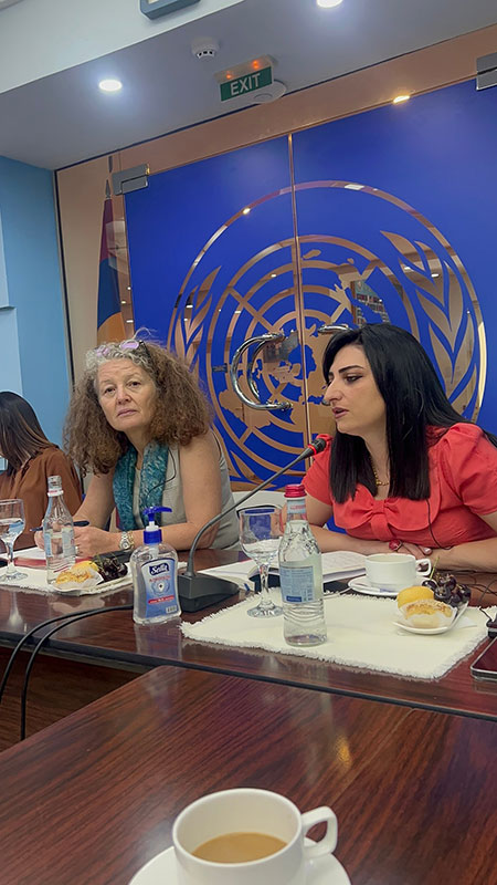 Քննարկել ենք մարդու իրավունքները, կանանց հիմնախնդիրները. Թագուհի Թովմասյան