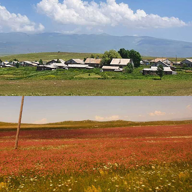 Ալվար՝ կարմիր ծաղիկների մեջ թաղված, ծերացող գյուղը․ ջահելներն ամուսնանալուն պես՝ հեռանում են (Ֆոտոշարք, տեսանյութ)