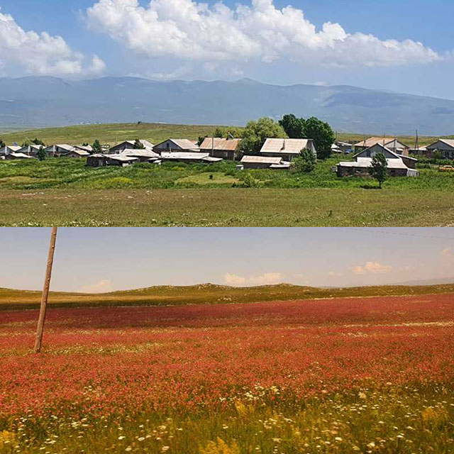Ալվար՝ կարմիր ծաղիկների մեջ թաղված, ծերացող գյուղը․ ջահելներն ամուսնանալուն պես՝ հեռանում են (Ֆոտոշարք, տեսանյութ)