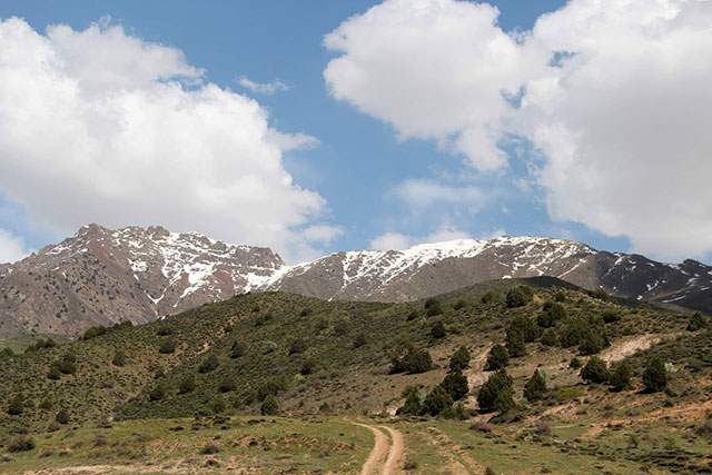 Թեքսար, կեղծ ու մոլորեցնող խոստումներ