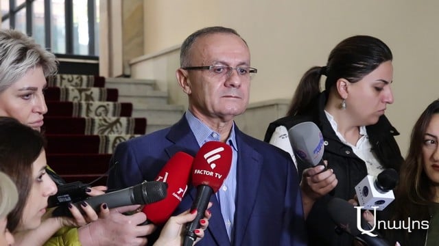 «Լավ, զենք չի մատակարարվել, գումարներ եք մուծել, պարտականությունները չեն կատարել, լավ, բա մեր երկրում բահ, քլունգ չի՞ եղել». Սեյրան Օհանյան
