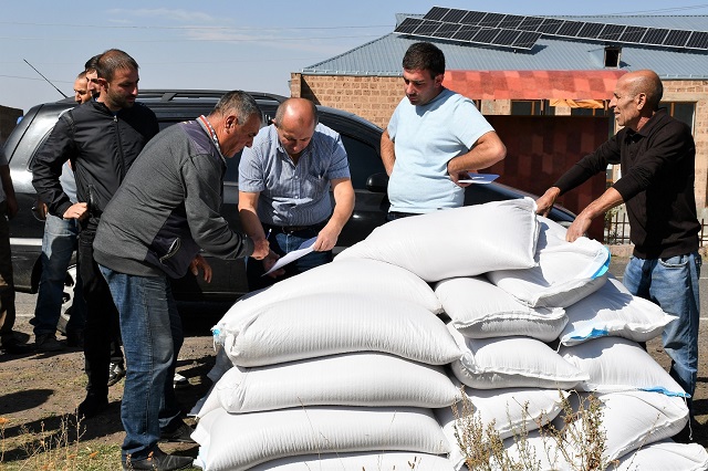 ՄԱԿ-ի ՊԳԿ-ն աշնանացան ցորենի սերմացու է տրամադրում Գեղարքունիքի, Շիրակի և Սյունիքի մարզերի անապահով ընտանիքներին