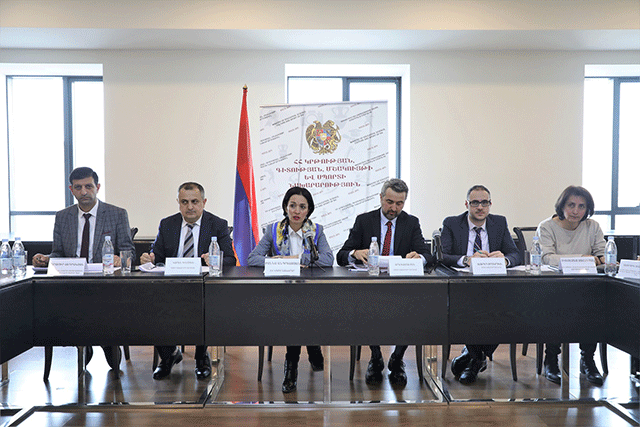 Մշակույթի և սպորտի ոլորտների ռազմավարությունների նախագծերը՝ նախարարին կից հասարակական խորհրդի նիստում